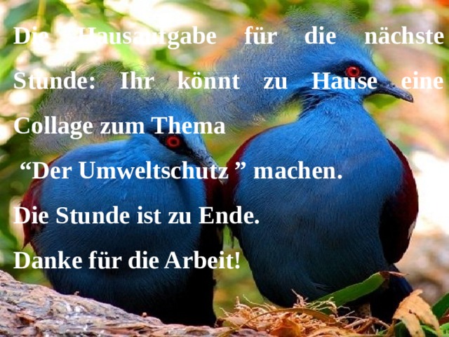 Die Hausaufgabe für die nächste Stunde: Ihr könnt zu Hause eine Collage zum Thema “ Der Umweltschutz ” machen. Die Stunde ist zu Ende. Danke für die Arbeit! 