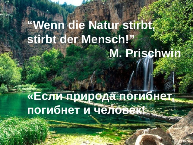 “ Wenn die Natur stirbt, stirbt der Mensch!”  M. Prischwin   «Если природа погибнет, погибнет и человек! 