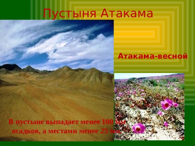 Пустыня Атакама Атакама-весной В пустыне выпадает менее 100 мм осадков, а местами менее 25 мм. 