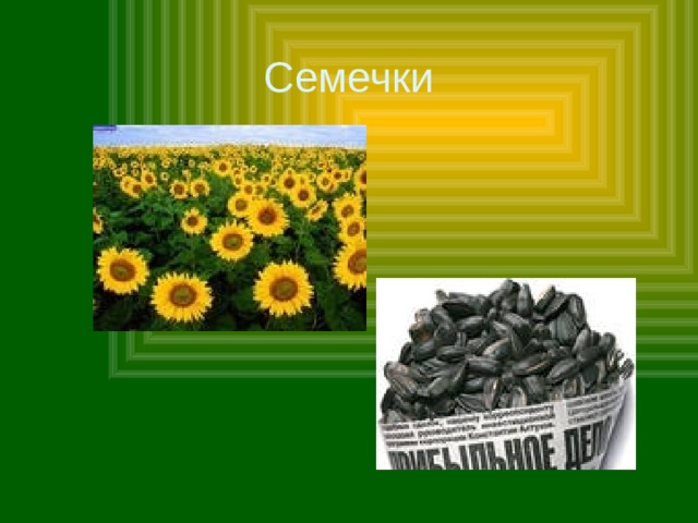 Семечки 