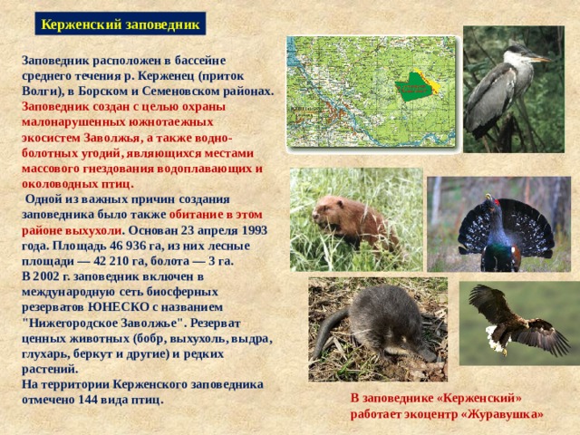 Керженский заповедник Заповедник расположен в бассейне среднего течения р. Керженец (приток Волги), в Борском и Семеновском районах. Заповедник создан с целью охраны малонарушенных южнотаежных экосистем Заволжья, а также водно-болотных угодий, являющихся местами массового гнездования водоплавающих и околоводных птиц.  Одной из важных причин создания заповедника было также обитание в этом районе выхухоли . Основан 23 апреля 1993 года. Площадь 46 936 га, из них лесные площади — 42 210 га, болота — 3 га. В 2002 г. заповедник включен в международную сеть биосферных резерватов ЮНЕСКО с названием 