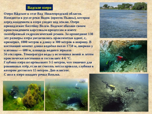 Вадское озеро Озеро Ва́дское в селе Вад  Нижегородской области. Находится в русле реки Вадок (приток Пьяны), которая перед впадением в озеро уходит под землю. Озеро принадлежит бассейну Волги. Вадское обязано своим происхождением карстовым процессам и имеет своеобразный гидрологический режим. За прошедшие 130 лет размеры озера увеличились практически вдвое, с, примерно, 1000 метров в длину и 300 метров в ширину. В настоящий момент длина водоёма около 1750 м, ширина у плотины — 600 м, площадь водного зеркала 56 гектаров. Температура воды у источника зимой и летом практически постоянна и составляет 4-6 °C. Глубина озера не превышает 3-5 метров, что типично для равнинных озёр, если не считать места провала, глубина в котором достигает 15 метров. Дно илистое. С юга в озеро впадает речка Ватьма. 