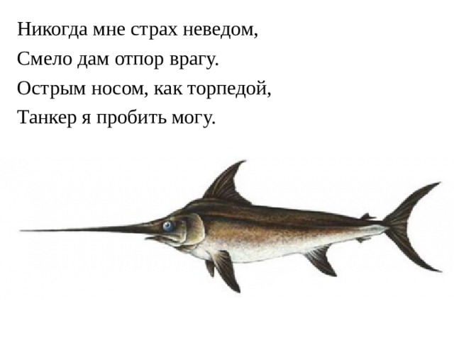 Никогда мне страх неведом, Смело дам отпор врагу. Острым носом, как торпедой, Танкер я пробить могу.