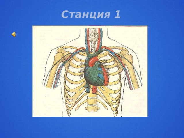 Станция 1