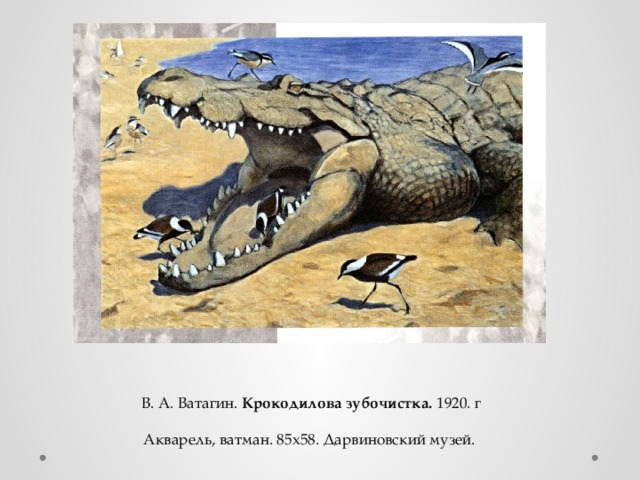   В. А. Ватагин.  Крокодилова зубочистка.  1920. г  Акварель, ватман. 85x58. Дарвиновский музей. 