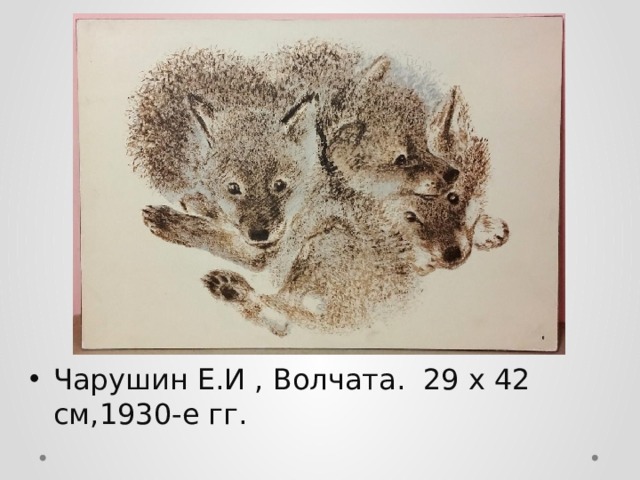 Чарушин Е.И , Волчата. 29 х 42 см,1930-е гг.   