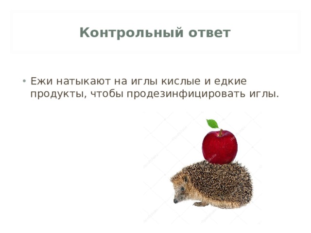 Контрольный ответ 