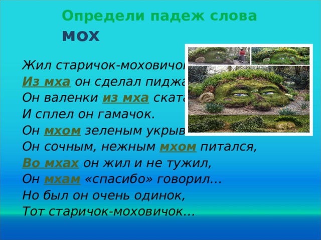 Определи падеж слова мох Жил старичок-моховичок, Из мха  он сделал пиджачок, Он валенки из мха  скатал И сплел он гамачок. Он  мхом  зеленым укрывался. Он сочным, нежным  мхом питался, Во мхах  он жил и не тужил, Он мхам «спасибо» говорил… Но был он очень одинок, Тот старичок-моховичок… 20 