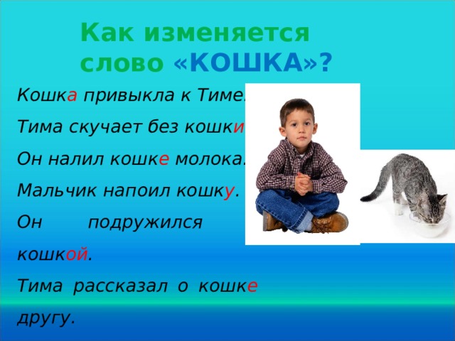 Как изменяется слово «КОШКА»? Кошк а привыкла к Тиме. Тима скучает без кошк и . Он налил кошк е молока. Мальчик напоил кошк у . Он подружился с кошк ой . Тима рассказал о кошк е другу.  