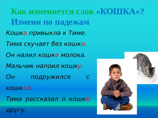 Как изменяется слов «КОШКА»? Измени по падежам Кошк а привыкла к Тиме. Тима скучает без кошк и . Он налил кошк е молока. Мальчик напоил кошк у . Он подружился с кошк ой . Тима рассказал о кошк е другу.  