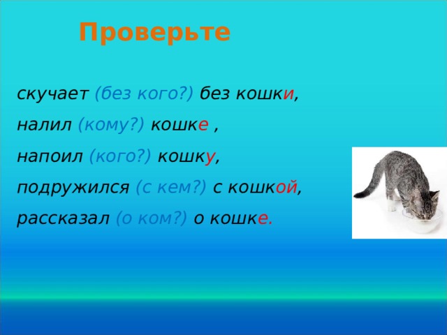 Проверьте скучает (без кого?) без кошк и , налил (кому?) кошк е , напоил (кого?) кошк у , подружился (с кем?) с кошк ой , рассказал (о ком?) о кошк е.  