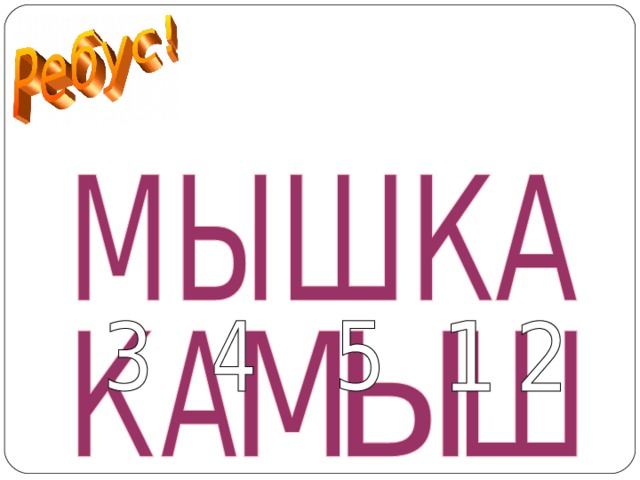КАМЫШ  