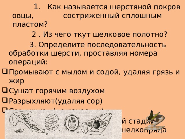  1 . Как называется шерстяной покров овцы, состриженный сплошным пластом?  2 . Из чего ткут шелковое полотно?  3. Определите последовательность обработки шерсти, проставляя номера операций: Промывают с мылом и содой, удаляя грязь и жир Сушат горячим воздухом Разрыхляют(удаляя сор) Сортируют (по качеству)  4. Дайте название каждой стадии процесса развития тутового шелкопряда 