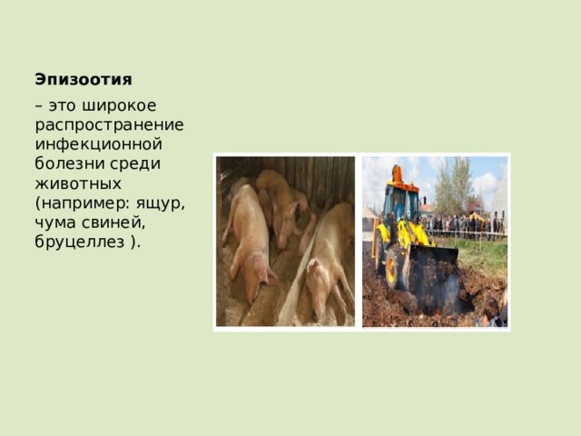 Эпизоотия – это широкое распространение инфекционной болезни среди животных (например: ящур, чума свиней, бруцеллез ). 