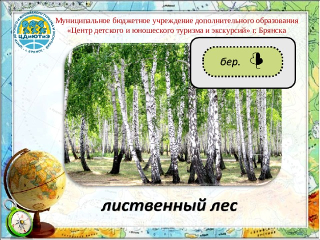 Муниципальное бюджетное учреждение дополнительного образования «Центр детского и юношеского туризма и экскурсий» г. Брянска 