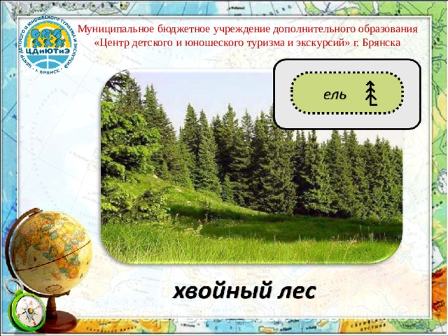 Муниципальное бюджетное учреждение дополнительного образования «Центр детского и юношеского туризма и экскурсий» г. Брянска 