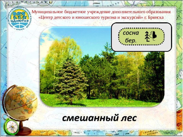 Муниципальное бюджетное учреждение дополнительного образования «Центр детского и юношеского туризма и экскурсий» г. Брянска 