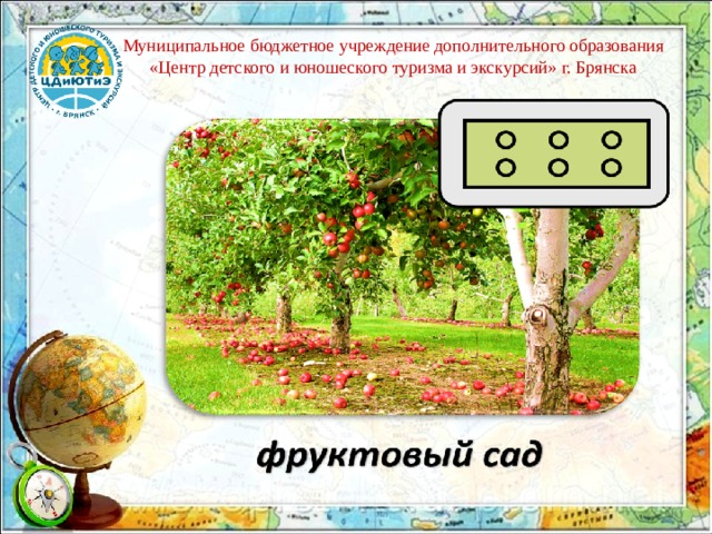 Муниципальное бюджетное учреждение дополнительного образования «Центр детского и юношеского туризма и экскурсий» г. Брянска 