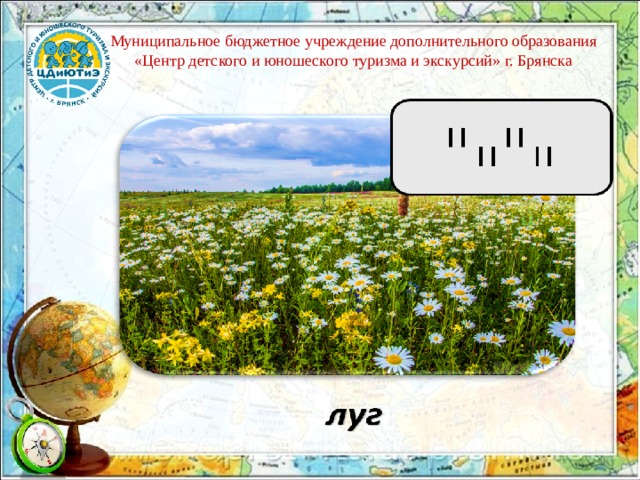 Муниципальное бюджетное учреждение дополнительного образования «Центр детского и юношеского туризма и экскурсий» г. Брянска 