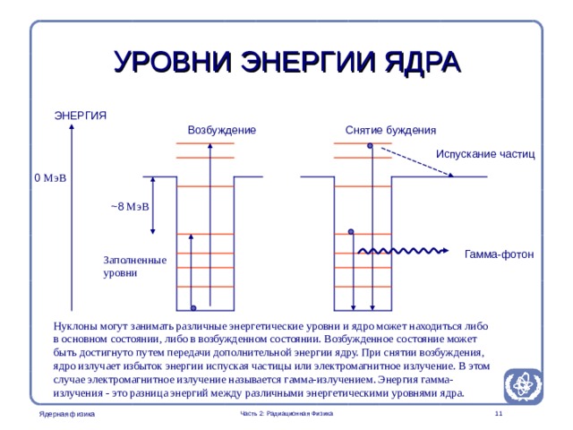 Part 2. Radiation Physics Radiation Protection in Nuclear Medicine УРОВНИ ЭНЕРГИИ ЯДРА ЭНЕРГИЯ Возбуждение Снятие буждения Испускание частиц 0 МэВ ~ 8 МэВ Гамма-фотон Заполненные уровни This image is perhaps too complicated for a certain audience. Nevertheless it can be used to explain the different processes involved in excitation and deexcitation processes in the nucleus in terms of energy. Нуклоны могут занимать различные энергетические уровни и ядро может находиться либо в основном состоянии, либо в возбужденном состоянии. Возбужденное состояние может быть достигнуто путем передачи дополнительной энергии ядру. При снятии возбуждения, ядро излучает избыток энергии испуская частицы или электромагнитное излучение. В этом случае электромагнитное излучение называется гамма-излучением. Энергия гамма-излучения - это разница энергий между различными энергетическими уровнями ядра. Часть 2: Радиационная Физика   