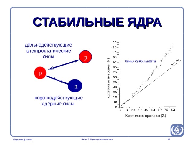 Radiation Protection in Nuclear Medicine Part 2. Radiation Physics  СТАБИЛЬНЫЕ ЯДРА   дальнедействующие электростатические  силы p Линия стабильности p n короткодействующие ядерные силы This image is used to explain why a nucleus is stable and why the number of neutrons is inceasing relative to the number of protons for heavy nuclei in order to outbalance the increasing long ranged electrostatic force. Количество протонов ( Z ) Часть 2: Радиационная Физика   