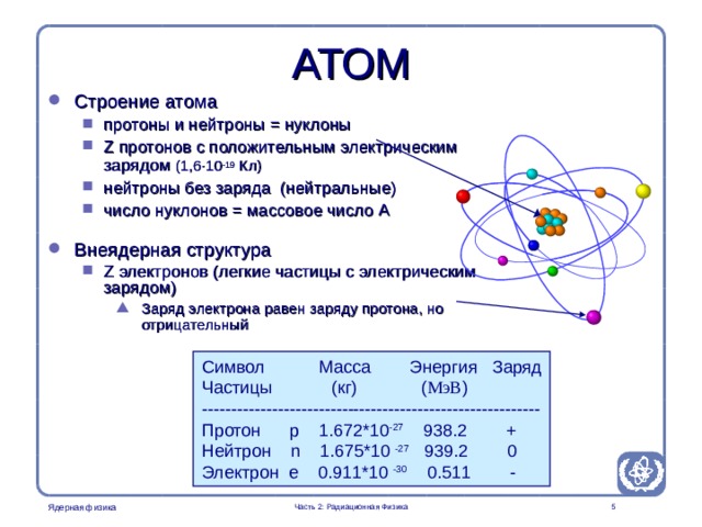 Part 2. Radiation Physics Radiation Protection in Nuclear Medicine АТОМ Строение атома протоны и нейтроны = нуклоны Z протонов с положительным электрическим зарядом (1 , 6·10 -19  Кл ) нейтроны без заряда ( нейтральные ) число нуклонов = массовое число A протоны и нейтроны = нуклоны Z протонов с положительным электрическим зарядом (1 , 6·10 -19  Кл ) нейтроны без заряда ( нейтральные ) число нуклонов = массовое число A Внеядерная структура Z электронов (легкие частицы с электрическим зарядом) Заряд электрона равен заряду протона, но отрицательный Z электронов (легкие частицы с электрическим зарядом) Заряд электрона равен заряду протона, но отрицательный Заряд электрона равен заряду протона, но отрицательный Символ Масса  Энергия  Заряд Частицы   ( кг )  ( МэВ ) ---------------------------------------------------------- Протон p 1.672*10 -27 938.2 + Нейтрон n 1.675*10 -27 939.2 0 Электрон e 0.911*10 -30   0.511 - Часть 2: Радиационная Физика   