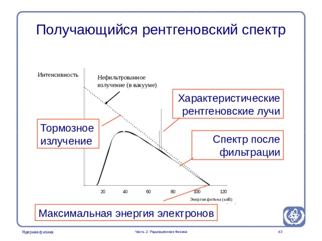Radiation Protection in Nuclear Medicine Part 2. Radiation Physics Получающийся рентгеновский спектр Интенсивность Нефильтрованное излучение (в вакууме) Характеристические рентгеновские лучи Тормозное излучение Спектр после  фильтрации The contents of this slide should follow from the previous discussions. The important points which should be mentioned by the lecturer are given in boxes. An alternative teaching approach would be to delete one or more of the boxes and ask the participants what is displayed. Энергия фотона (кэВ) Максимальная энергия электронов Часть 2: Радиационная Физика   