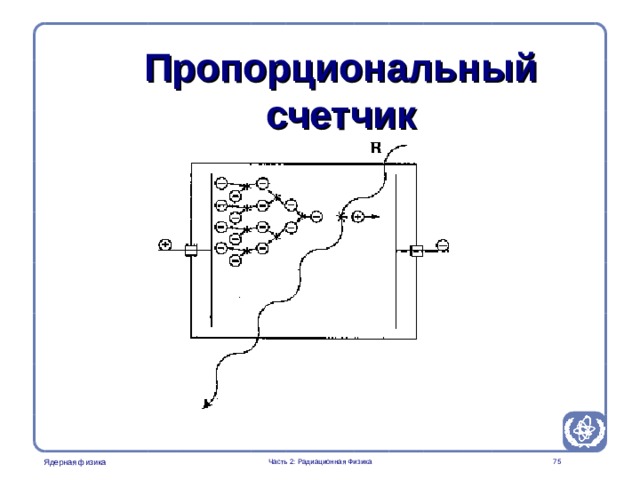 Part 2. Radiation Physics Radiation Protection in Nuclear Medicine Пропорциональный счетчик There is a multiplication by secondary ionization events which is proportional to the voltage as well as the number of primary ionizations caused by a particle or photon.  Часть 2: Радиационная Физика  