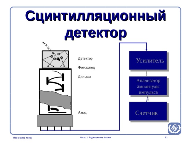 Part 2. Radiation Physics Radiation Protection in Nuclear Medicine Сцинтилляционный детектор Детектор Фотокатод Диноды Анод Усилитель Анализатор амплитуды импульса It is important to explain why there is a proportionality between the photon energy absorbed in the detector and the pulse height Счетчик Часть 2: Радиационная Физика   
