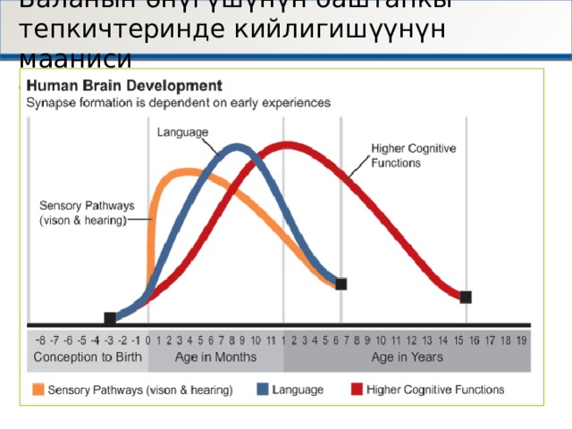 Баланын ѳнүгүшүнүн баштапкы тепкичтеринде кийлигишүүнүн мааниси На ранних 