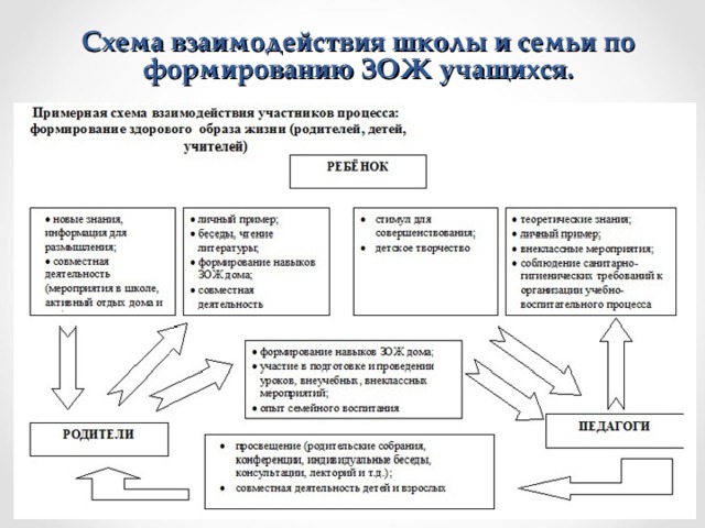Схема взаимодействия школы и семьи по формированию ЗОЖ учащихся. 