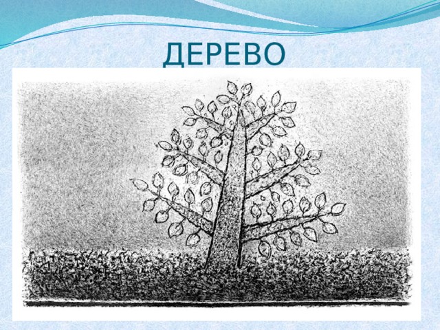 ДЕРЕВО 