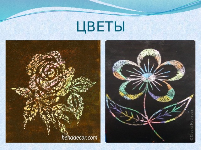 ЦВЕТЫ 