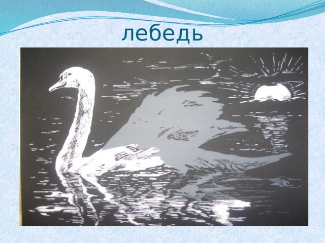 лебедь 