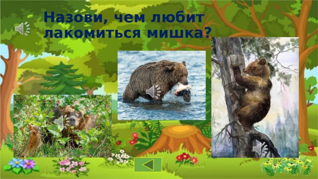 Назови, чем любит лакомиться мишка? 