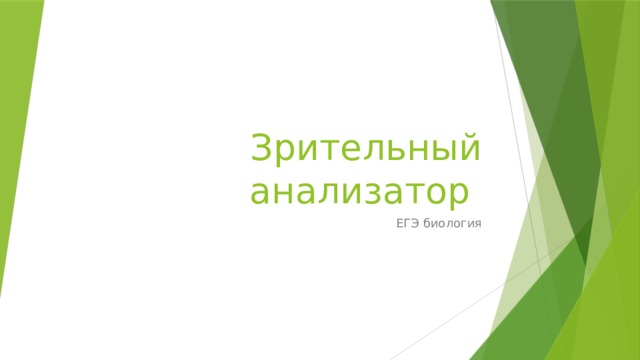 Зрительный анализатор ЕГЭ биология 