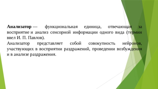 Анализатор  —  функциональная единица, отвечающая за восприятие и анализ сенсорной информации одного вида (термин ввел И. П. Павлов). Анализатор представляет собой совокупность нейронов, участвующих в восприятии раздражений, проведении возбуждения и в анализе раздражения. 