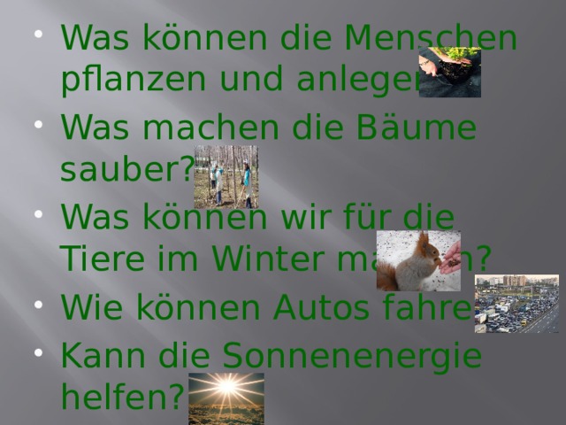 Was können die Menschen pflanzen und anlegen? Was machen die Bäume sauber? Was können wir für die Tiere im Winter machen? Wie können Autos fahren? Kann die Sonnenenergie helfen? 