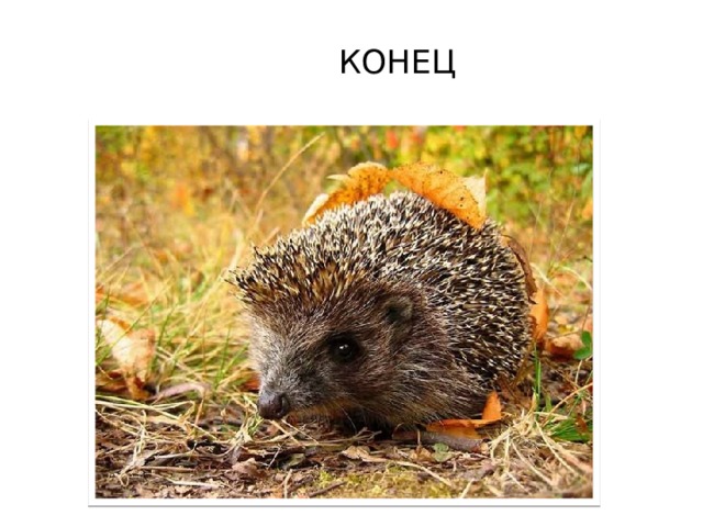  КОНЕЦ 