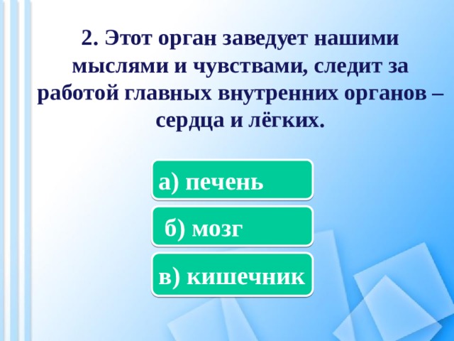 2. Этот орган заведует нашими мыслями и чувствами, следит за работой главных внутренних органов – сердца и лёгких. а) печень  б) мозг в) кишечник 