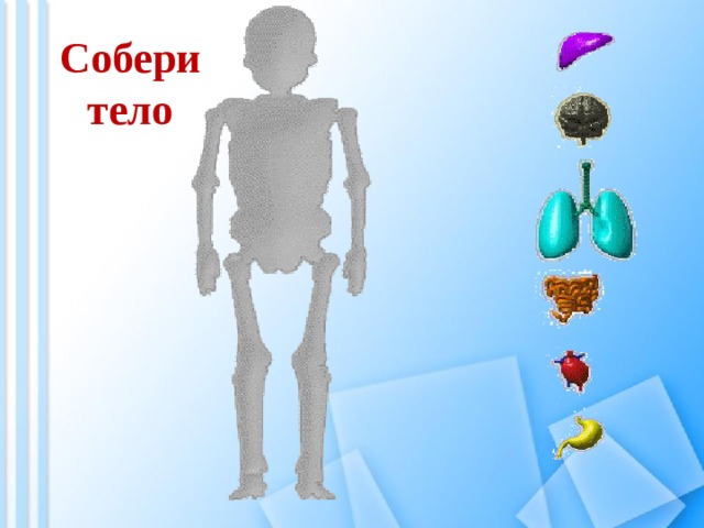 Собери тело 