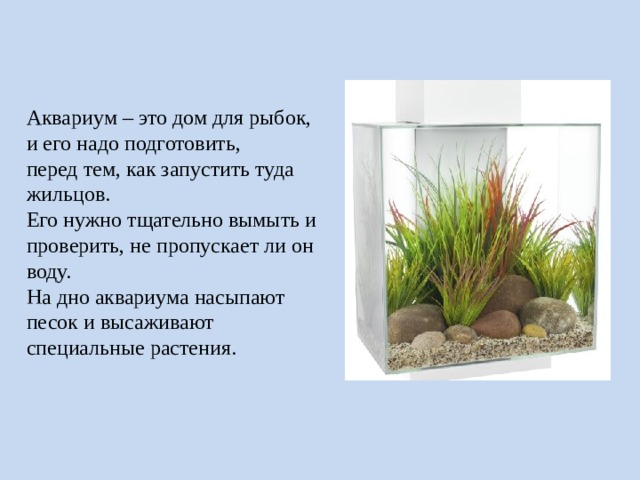 Аквариум – это дом для рыбок, и его надо подготовить, перед тем, как запустить туда жильцов. Его нужно тщательно вымыть и проверить, не пропускает ли он воду. На дно аквариума насыпают песок и высаживают специальные растения. 
