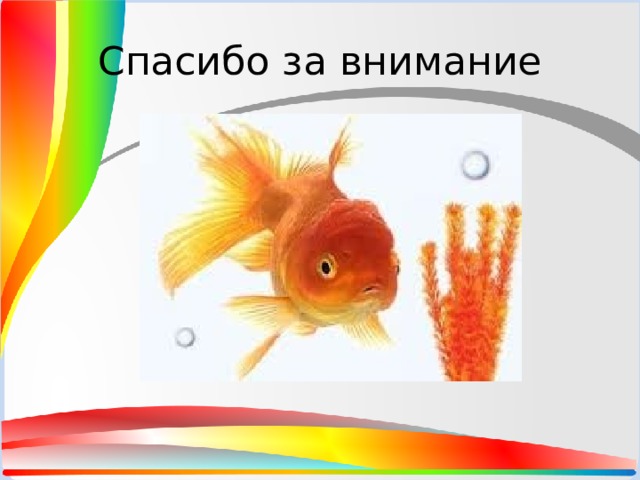 Спасибо за внимание 