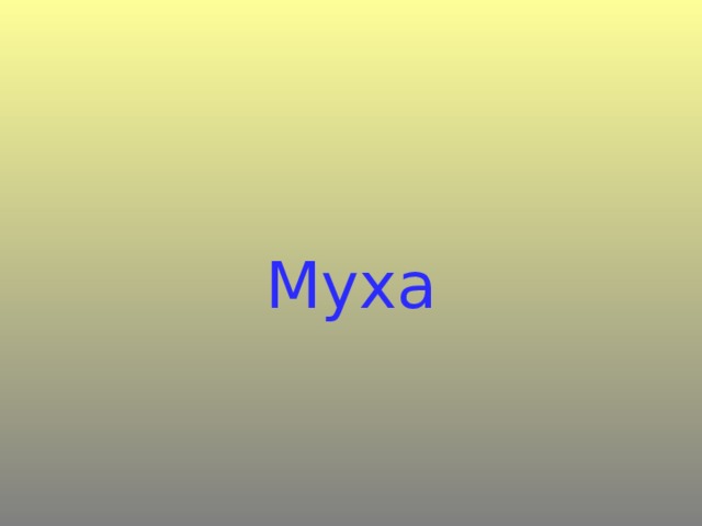 Муха