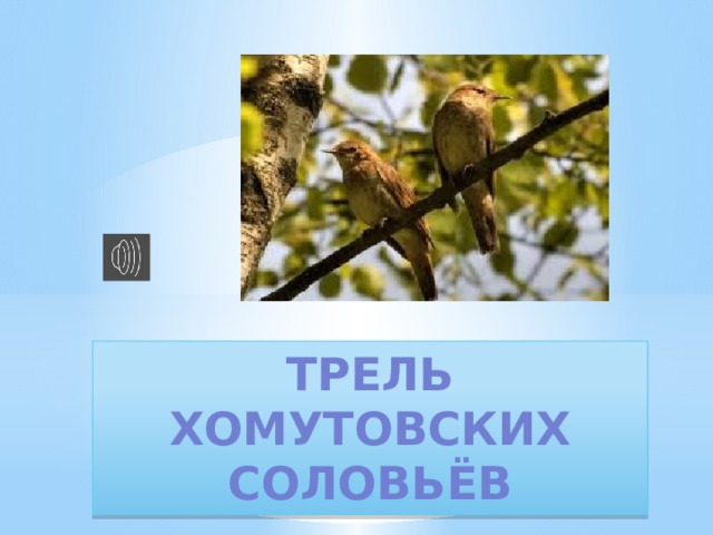Трель  Хомутовских соловьёв    