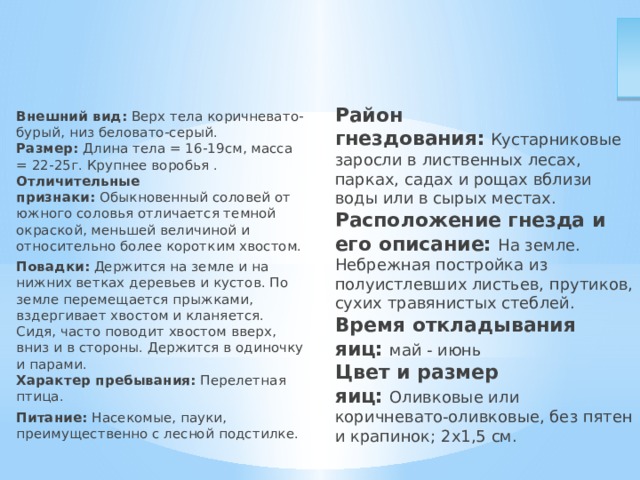 Описание соловья. Район гнездования:  Кустарниковые заросли в лиственных лесах, парках, садах и рощах вблизи воды или в сырых местах.  Расположение гнезда и его описание:   На земле. Небрежная постройка из полуистлевших листьев, прутиков, сухих травянистых стеблей.  Время откладывания яиц:   май - июнь  Цвет и размер яиц:   Оливковые или коричневато-оливковые, без пятен и крапинок; 2х1,5 см. Внешний вид:  Верх тела коричневато-бурый, низ беловато-серый.  Размер:  Длина тела = 16-19см, масса = 22-25г. Крупнее воробья . Отличительные признаки:  Обыкновенный соловей от южного соловья отличается темной окраской, меньшей величиной и относительно более коротким хвостом. Повадки:  Держится на земле и на нижних ветках деревьев и кустов. По земле перемещается прыжками, вздергивает хвостом и кланяется. Сидя, часто поводит хвостом вверх, вниз и в стороны. Держится в одиночку и парами.  Характер пребывания:  Перелетная птица. Питание:  Насекомые, пауки, преимущественно с лесной подстилке. 