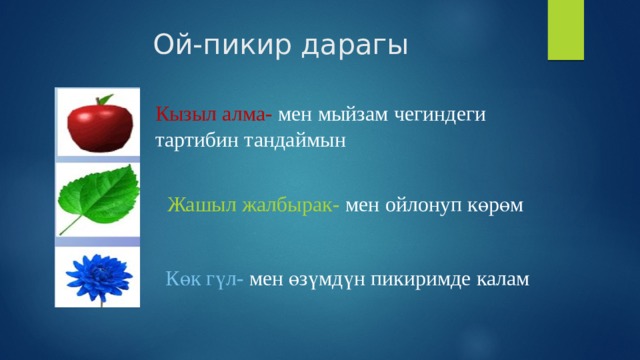 Ой-пикир дарагы Кызыл алма- мен мыйзам чегиндеги тартибин тандаймын Жашыл жалбырак- мен ойлонуп көрөм Көк гүл- мен өзүмдүн пикиримде калам 