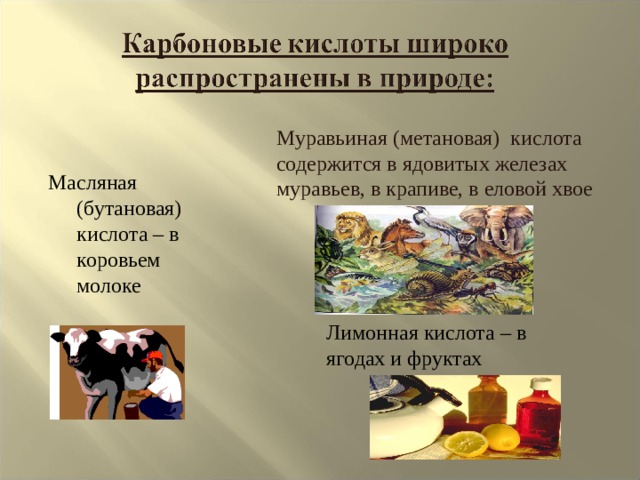 Муравьиная (метановая) кислота содержится в ядовитых железах муравьев, в крапиве, в еловой хвое Масляная (бутановая) кислота – в коровьем молоке Лимонная кислота – в ягодах и фруктах 