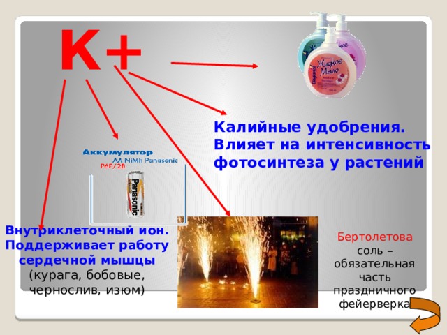  К+ Калийные удобрения. Влияет на интенсивность фотосинтеза у растений Внутриклеточный ион. Поддерживает работу сердечной мышцы (курага, бобовые, чернослив, изюм) Бертолетова соль – обязательная часть праздничного фейерверка 