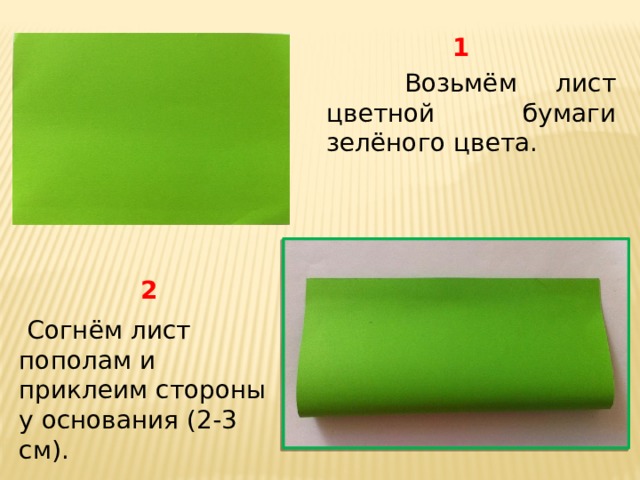 1  Возьмём лист цветной бумаги зелёного цвета. 2  Согнём лист пополам и приклеим стороны у основания (2-3 см). 